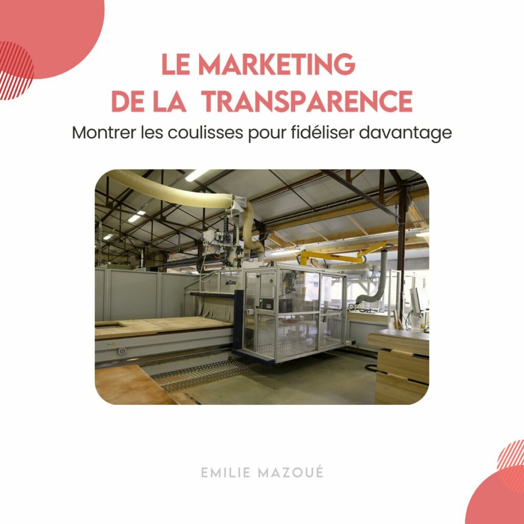 le marketing de la transparence , emilie mazoué